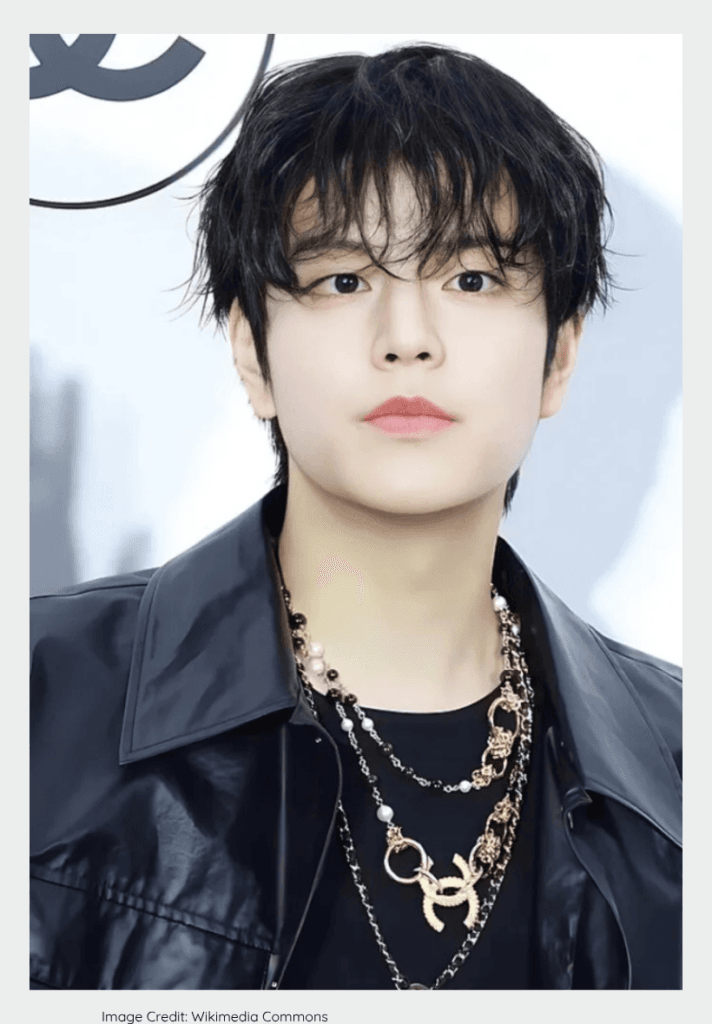 Seungmin listed under best male kpop vocalists 2025