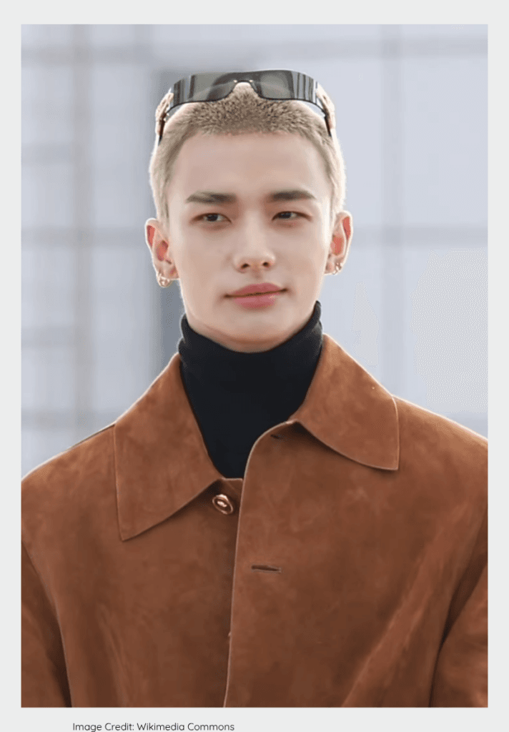 Stray Kids Hyunjin making waves on search engines with high volume