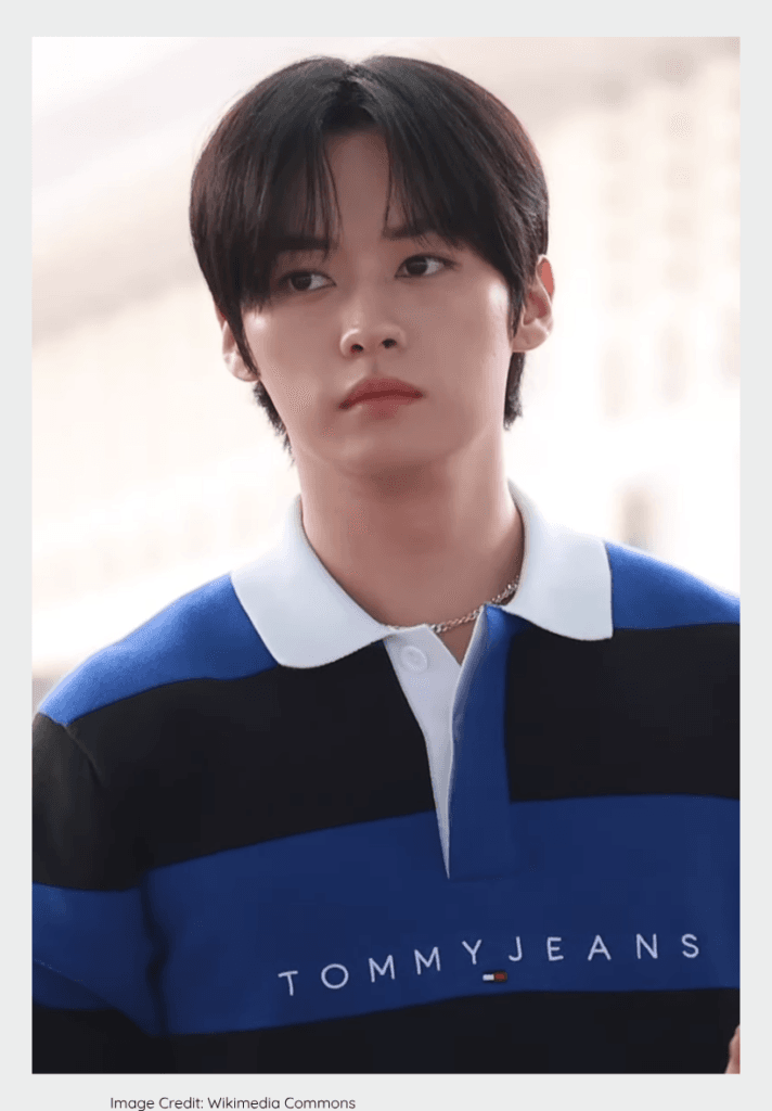 Stray Kids member Lee Know capturing viral online search popularity