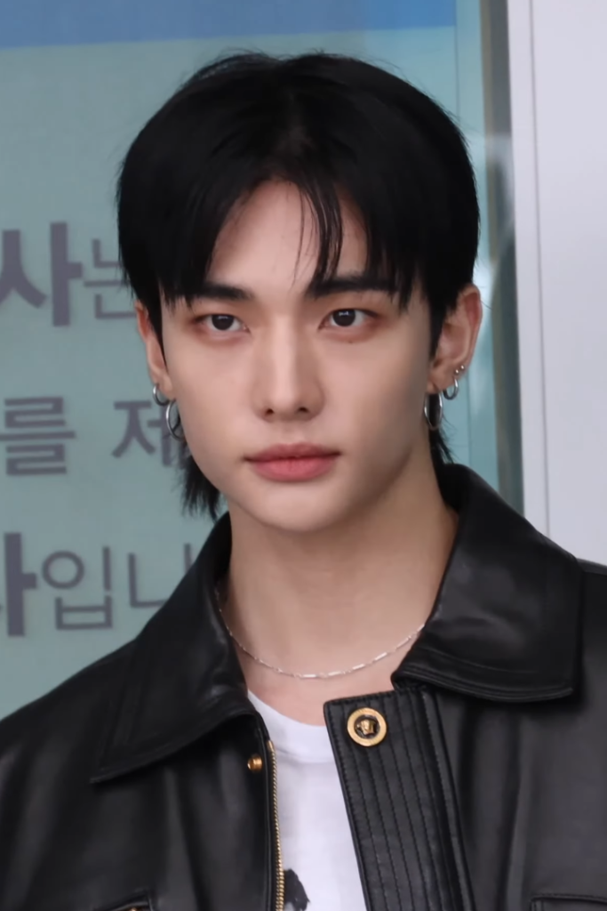 Stray Kids Hyunjin fifteenth most searched K-pop idol 2025 dancer visual