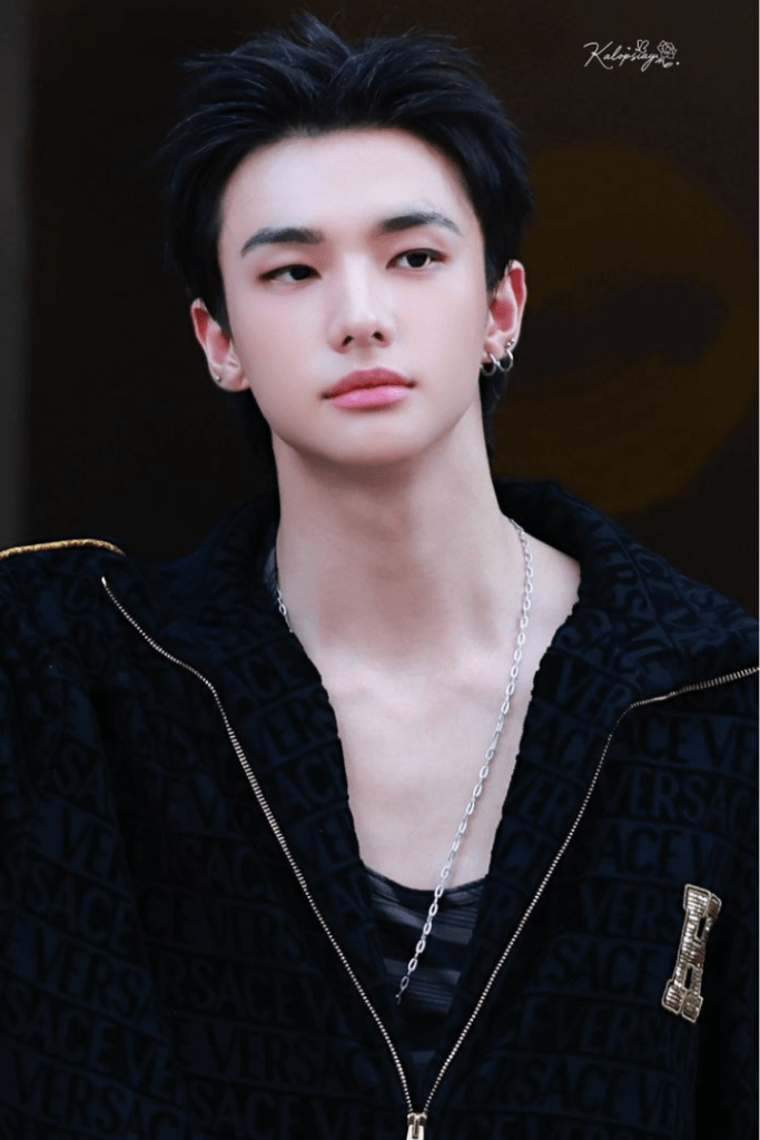 Hyunjin Stray Kids, fan-favorite k pop idol known for performance and visuals