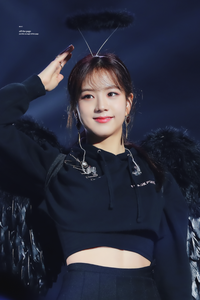 Jisoo BLACKPINK visual member Korean beauty standard 2025