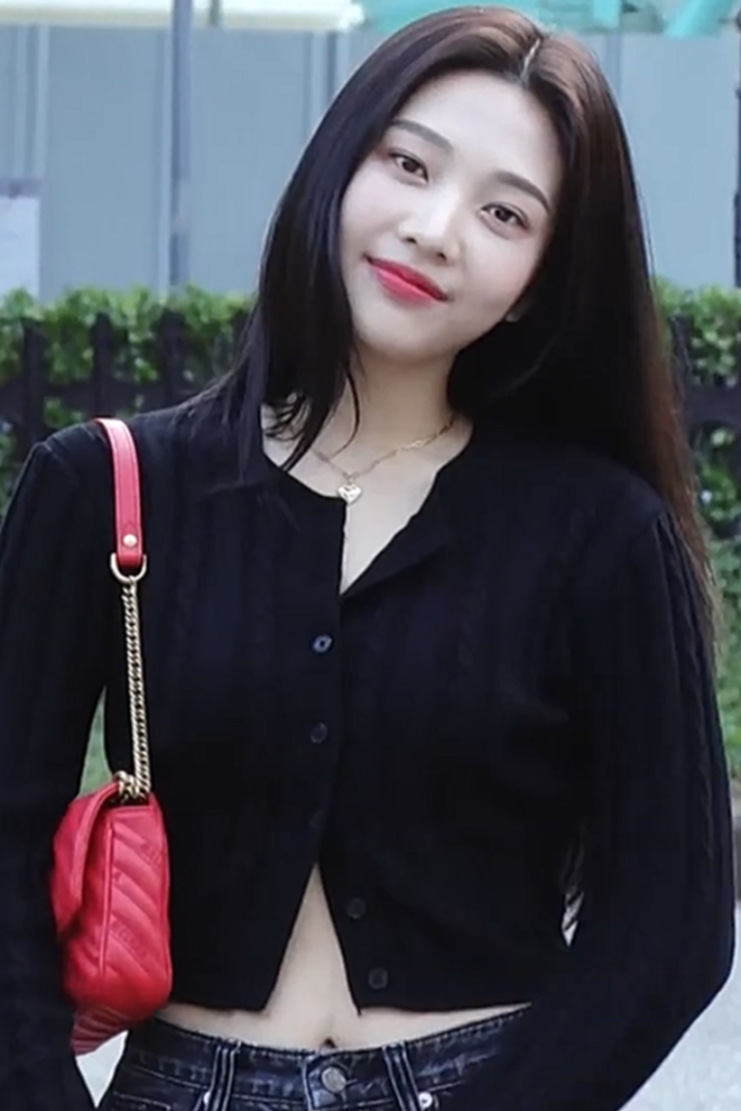 Joy best female kpop vocalist featured in 2025 rankings