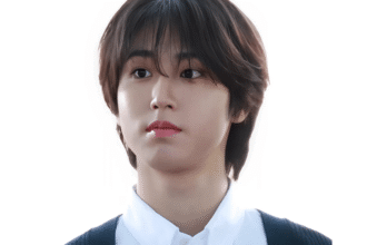 HAN (STRAY KIDS) – Complete Profile, Facts & Social Image