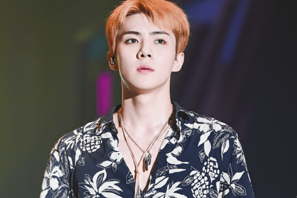 SEHUN (EXO) – Complete Profile, Facts & Social Image