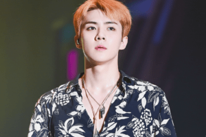 Read more about the article SEHUN (EXO) – Complete Profile, Facts & Social Image