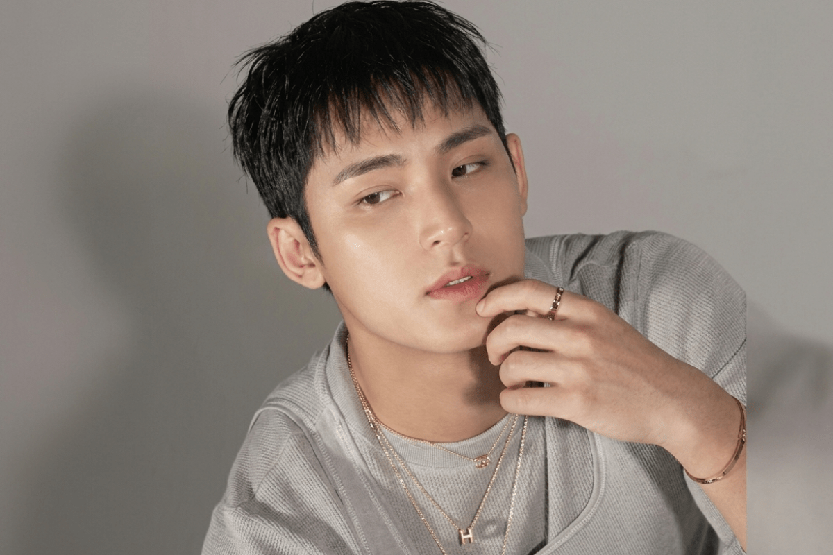 Read more about the article MINGYU (SEVENTEEN) – Complete Profile, Facts & Social Image