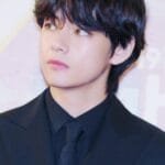 V/Kim Taehyung (BTS) - "v kim taehyung most handsome musicians world 2026 kpop" Harry Styles - "harry styles most handsome musicians world 2026 western pop" Shawn Mendes - "shawn mendes most handsome musicians world 2026 singer" Jungkook (BTS) - "jungkook bts most handsome musicians world 2026" Zayn Malik - "zayn malik most handsome musicians world 2026"