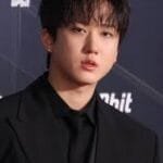 changbin most handsome stray kids member 2026 6 percent rapper visual
