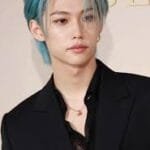 felix most handsome stray kids member 2026 17 percent deep voice angel