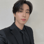 han most handsome stray kids member 2026 7 percent quokka visual