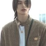 hyunjin most handsome stray kids member 2026 30 percent versace visual