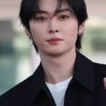 lee know most handsome stray kids member 2026 17 percent cat visual