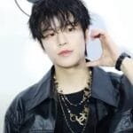seungmin most handsome stray kids member 2026 7 percent puppy visual