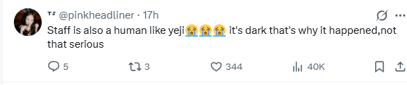 MIDZYs defending the staff member during the ITZY Yeji stage incident.
